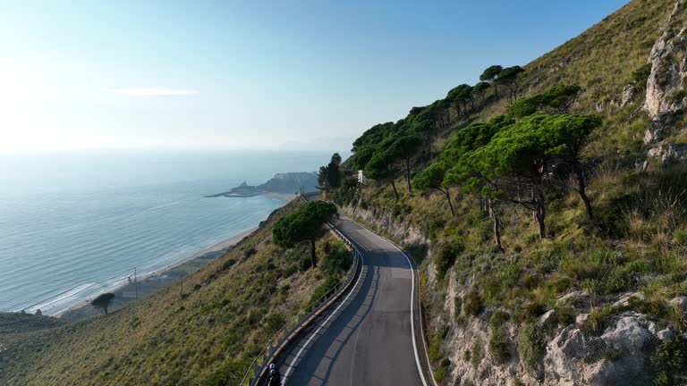 Calm coastal pathway at dawn in New Zealand illustrating Liveavitaol editorial lifestyle pacing